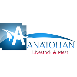 Anatolian Hayvancılık Sti logo