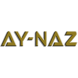 Aynaz Gida logo
