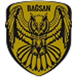 Bagsan Hidrolik Company logo