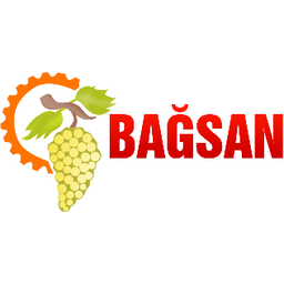 Bagsan Is Makineleri Ltd Sti logo