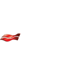 Bri̇sa Bridgestone Sabancı Lastik San. ve Tic logo