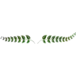 Dml Teknik Ilac Ve Yem A.s logo