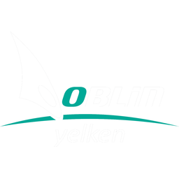 Doblin Denizcilik Gida logo