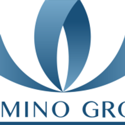 Domi̇no Teks.ürünl.ve logo