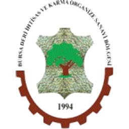 Gulsever Deri Corp logo