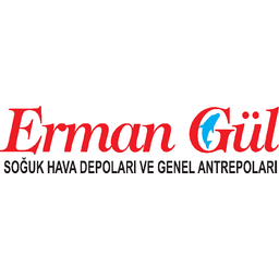 Gulsever Zeynalova logo