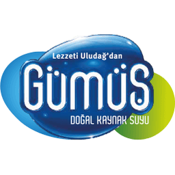 Gumus Makina Ltd Sti logo