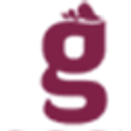 Gunseven Salgam Ltd Sti logo