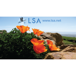 İlsa logo
