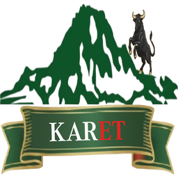 Karet Gida Diş logo