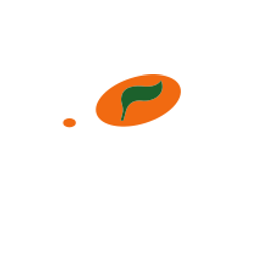Ni̇meks Organi̇k Tarim Ürünleri̇ logo