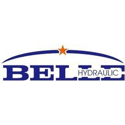 Shanghai Belle Hydraulic Co Ltd logo