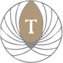 Tellini Makina Dis Tic A S logo