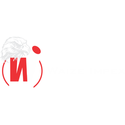 Waize Impex logo